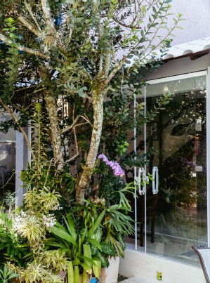 Jardim com plantas nativas na entrada da pousada